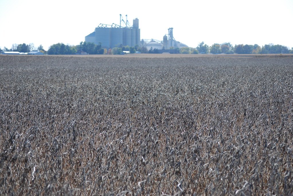 Planta Sierra, planta de manufactura con silos y torre de proceso